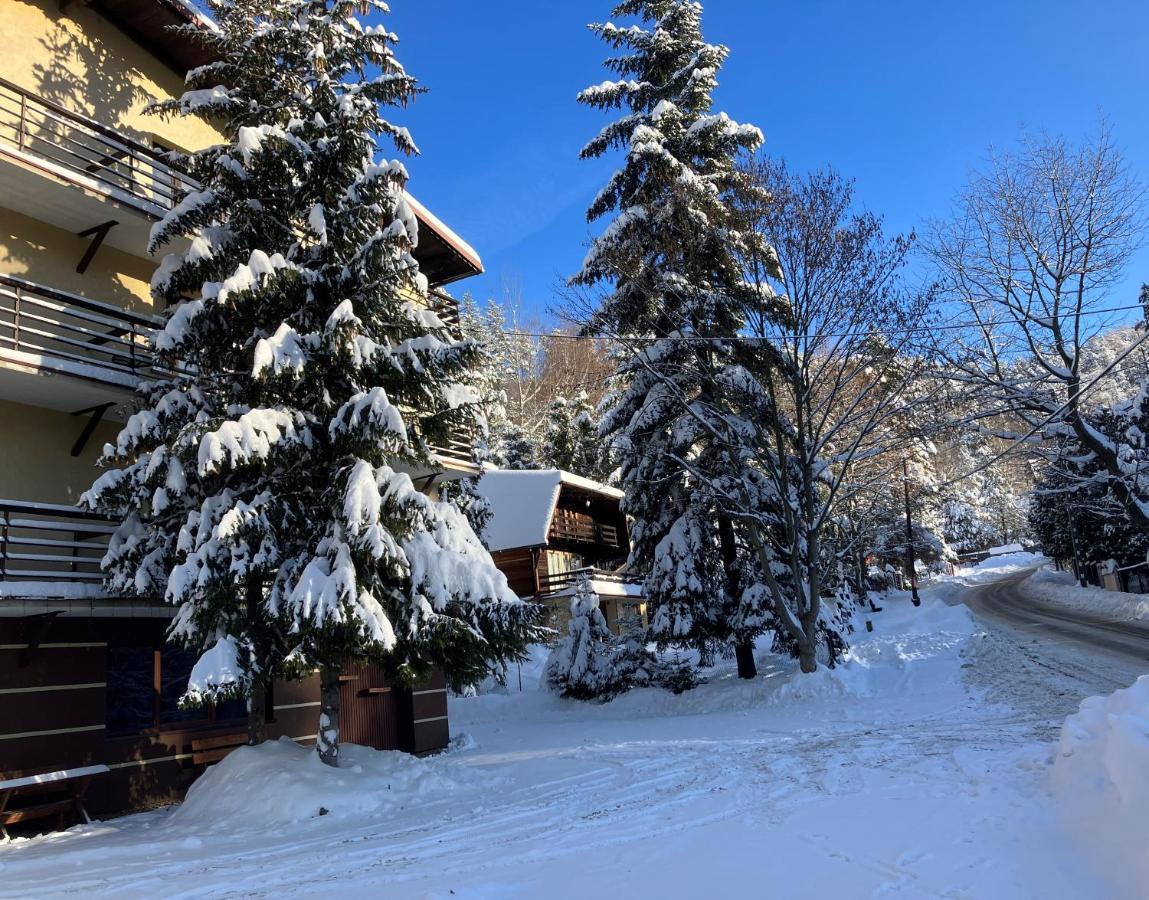 Bed and Breakfast Niezapominajka Щирк Екстер'єр фото